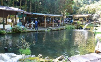 辻野養魚場