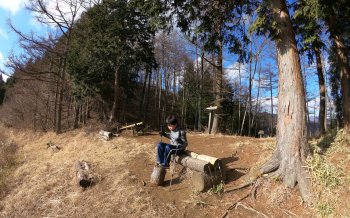 槇寄山 西原峠～数馬峠