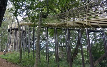 あつぎこどもの森公園