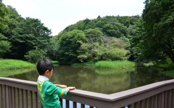 座間谷戸山公園