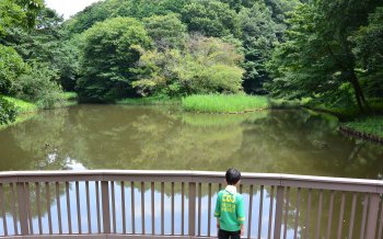 座間谷戸山公園