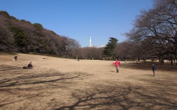 砧公園