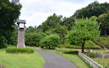 中沢池公園